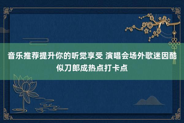 音乐推荐提升你的听觉享受 演唱会场外歌迷因酷似刀郎成热点打卡点