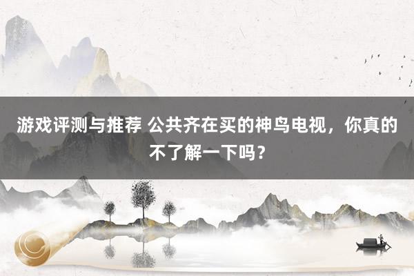 游戏评测与推荐 公共齐在买的神鸟电视，你真的不了解一下吗？