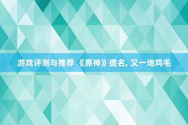 游戏评测与推荐 《原神》提名, 又一地鸡毛