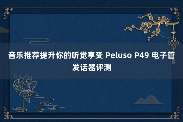 音乐推荐提升你的听觉享受 Peluso P49 电子管发话器评测