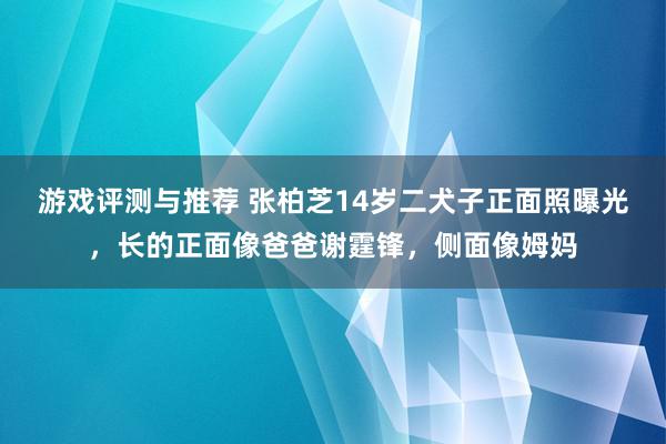 游戏评测与推荐 张柏芝14岁二犬子正面照曝光，长的正面像爸爸谢霆锋，侧面像姆妈