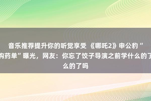 音乐推荐提升你的听觉享受 《哪吒2》申公豹“代购药单”曝光，网友：你忘了饺子导演之前学什么的了吗